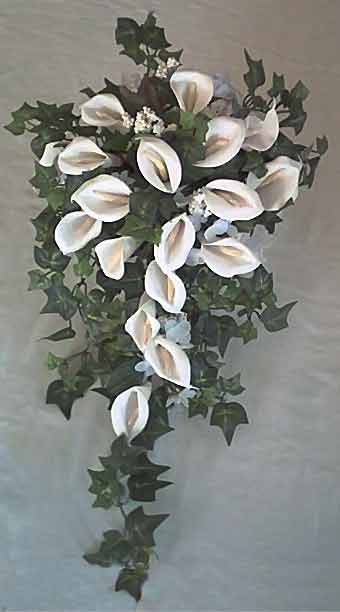 Cascading Cala Lily